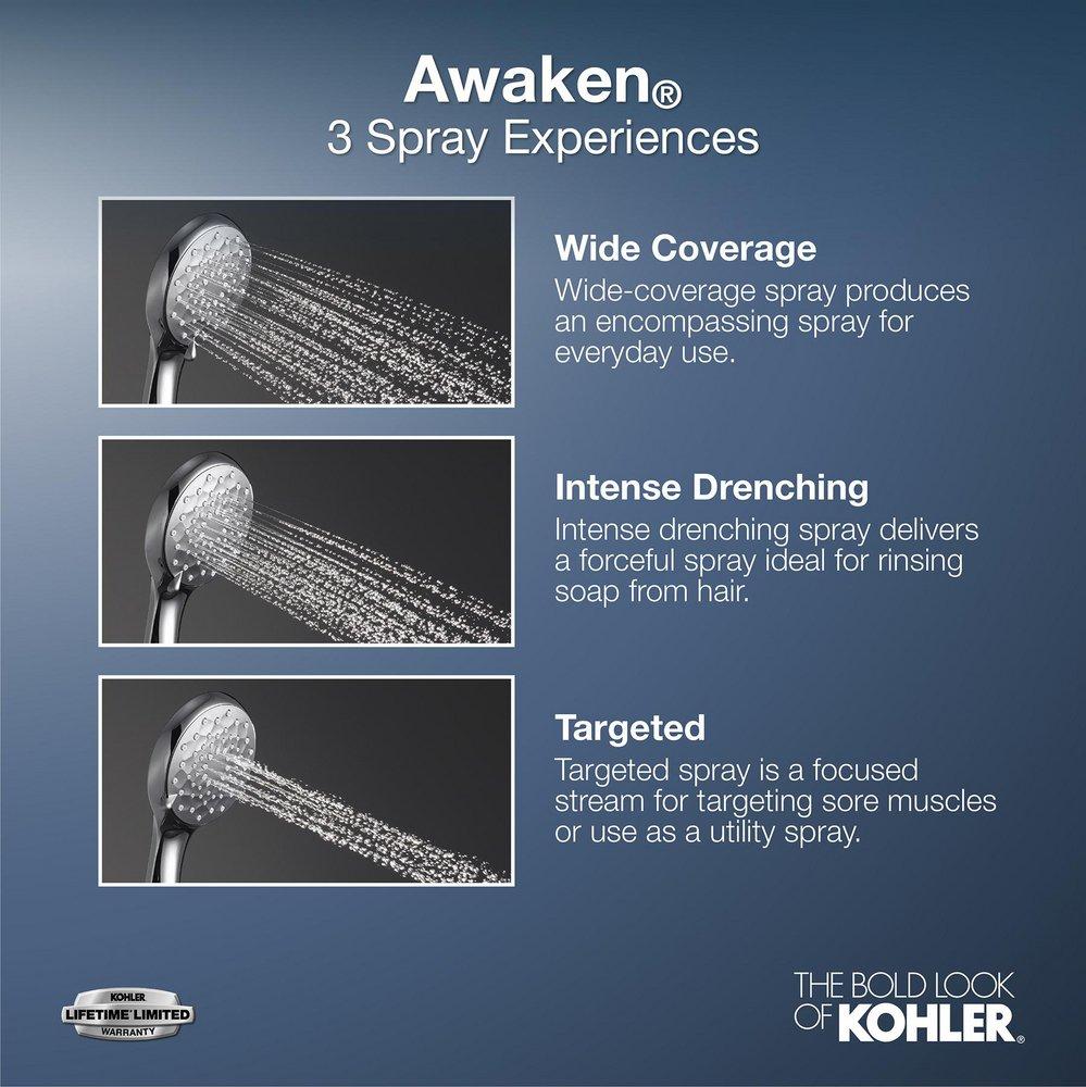 KOHLER Polished Chrome Multi Function Hand Shower 