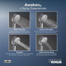 KOHLER Vibrant&reg; Brushed Nickel Multi Function Hand Shower 