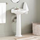 19-1/4 x 16 in. Oval Pedestal Bathroom Sink in White