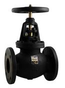4 in. Cast Iron Flanged Outside Globe Valve