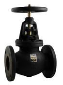 5 in. Cast Iron Flanged Outside Globe Valve