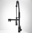 Signature Hardware Black Three Handle Pull Down Kitchen Faucet 