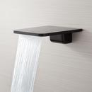 Signature Hardware Black Brass Tub Spout 