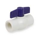 Smith-Cooper Blue Plastic Threaded Ball Valve 