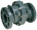 4 in. Plastic Flanged Swing Check Valve