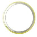 14 in. 150# 304 Stainless Steel Spiral Wound Gasket