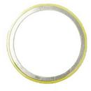 Lamons Gasket 150# Gasket 