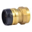 1-1/4 in. Brass Push x 1-1/4 in. FPT Adapter