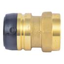 SharkBite® Brass Push x FPT Adapter 