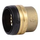 2 in. Push-to-Connect Brass DZR End Cap