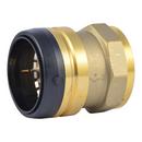 2 in. FNPT Domestic Brass Coupling with Connector