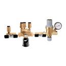 1/2 in. FNPT Backflow Preventer and Auto Fill Combo