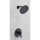 Pfister Matte Black One Handle Single Function Shower Faucet (Trim Only) 
