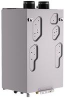 Rheem 199 MBH Indoor Condensing 172W Tankless Water Heater 