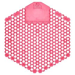 30-Day Urinal Screen in Spiced Apple (Box of 10)