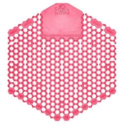 30-Day Urinal Screen in Spiced Apple (Box of 10)