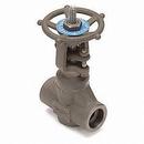 1 in. Forged Steel Standard Port Adapter x Female Threaded Gate Valve
