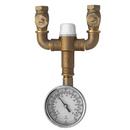Speakman Rough Brass 9.7 gpm Thermostat Mixing Valve in Rough Brass 