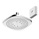TOTO Polished Chrome Single Rain Showerhead 