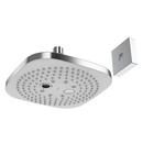 TOTO Polished Chrome Dual Massage and Rain Showerhead 