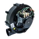 Packard Inducer Motor 