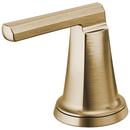 Widespread High Lever Bathroom Faucet Handle Kit in Luxe Gold