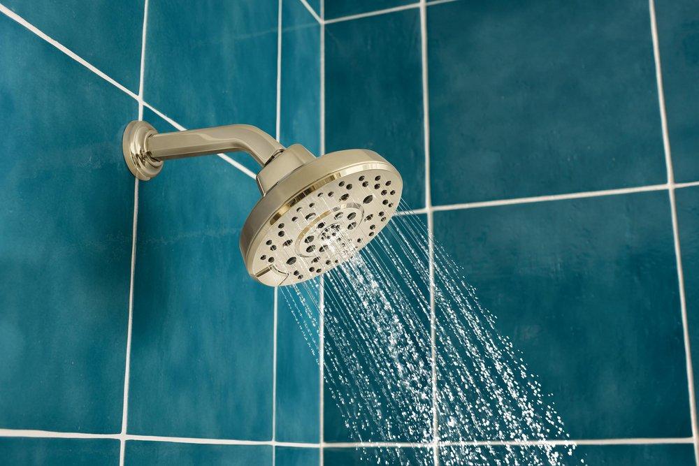 Brizo Polished Nickel 7-3/4 in. Shower Arm and Flange 