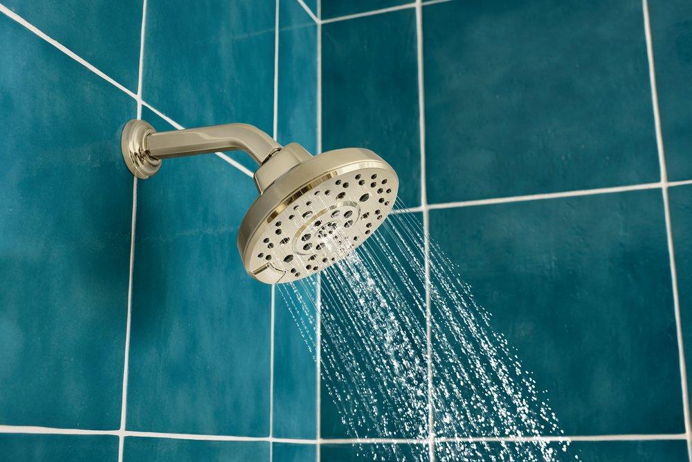 Brizo Polished Nickel 7-3/4 in. Shower Arm and Flange 