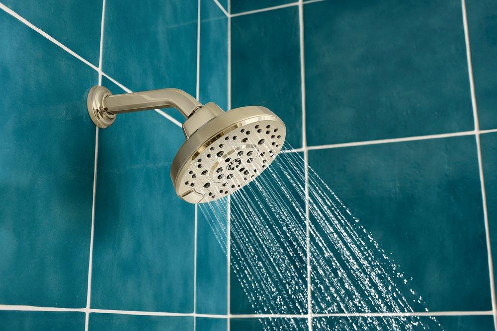 Brizo Polished Nickel 7-3/4 in. Shower Arm and Flange 