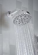 Brizo Chrome 7-3/4 in. Shower Arm and Flange 