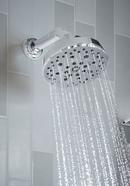Brizo Chrome 7-3/4 in. Shower Arm and Flange 