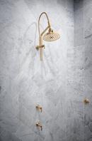 Brizo Luxe Gold Single Handle Bathtub & Shower Faucet (Trim Only) 