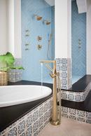 Brizo Luxe Gold Multi Function H2Okinetic Technology&reg; Full Body, Full Spray, Massage and Pause Showerhead 