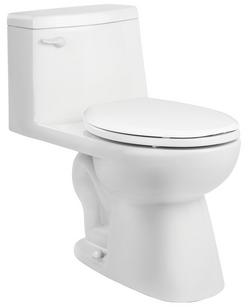 1.28 gpf  Elongated One Piece Toilet in White with 12 in. Rough-In