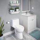 PROFLO&reg; White 1.28 gpf Elongated ADA 16-1/4 in. One Piece Toilet 