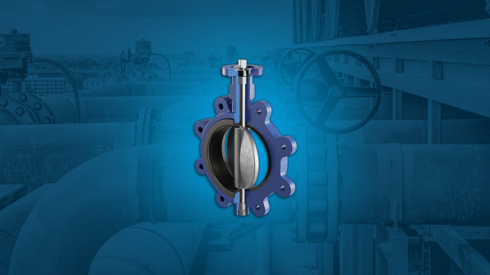 FNW Butterfly Valve on a blue background