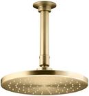 Single Function Rain Showerhead in Vibrant Moderne Brushed Gold