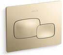 8-7/8 x 6-5/16 in. Plastic Flush Actuator Plate in Vibrant® French Gold