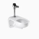 Sloan Valve White 1.1 gpf Elongated Wall Mount One Piece Toilet 
