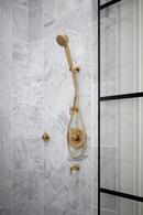 Brizo Luxe Gold Single Handle Bathtub & Shower Faucet (Trim Only) 