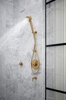 Brizo Luxe Gold Single Handle Bathtub & Shower Faucet (Trim Only) 