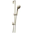 Brizo Polished Nickel Multi Function Hand Shower 