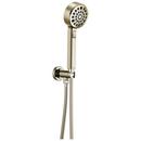 Brizo Polished Nickel Multi Function Hand Shower 