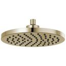 Brizo Polished Nickel Single Function Full Spray Showerhead 
