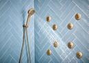 Brizo Luxe Gold Multi Function Hand Shower 