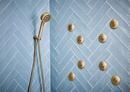 Brizo Luxe Gold Multi Function Hand Shower 
