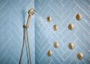 Brizo Luxe Gold Multi Function Hand Shower 