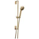 Brizo Luxe Gold Multi Function Hand Shower 