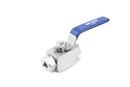 1/4 in. Stainless Steel FPT 6000# Ball Valve
