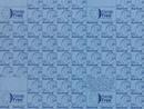 Garlock Blue 60X120X1/16 3000 BLUGARD NIT SHT 